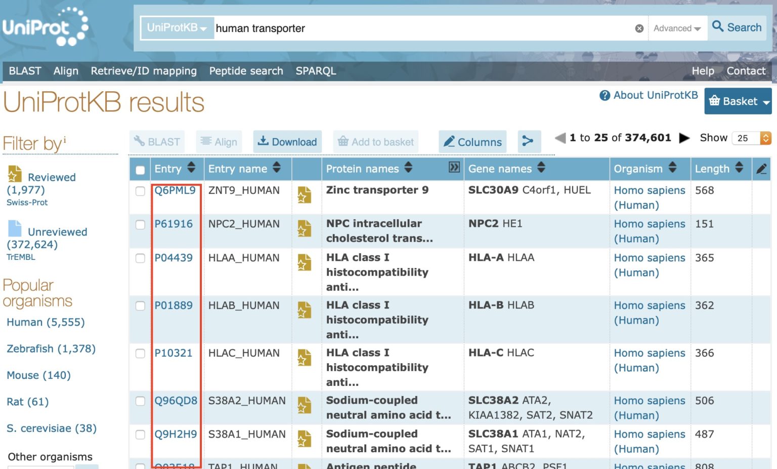 【webスクレイピング】Uniprotのタンパク質情報を超効率的に集めてみる 製薬研究者ドットコム